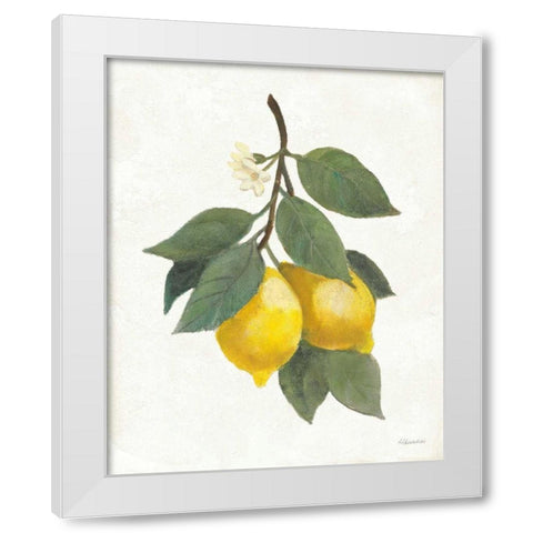 Lemon Branch II White Modern Wood Framed Art Print by Hristova, Albena