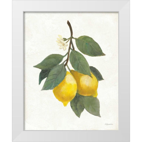 Lemon Branch II White Modern Wood Framed Art Print by Hristova, Albena