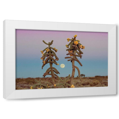 Desert Moonrise White Modern Wood Framed Art Print by Larson, Nathan