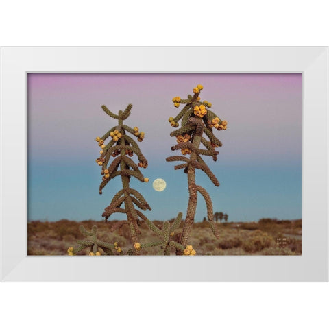 Desert Moonrise White Modern Wood Framed Art Print by Larson, Nathan