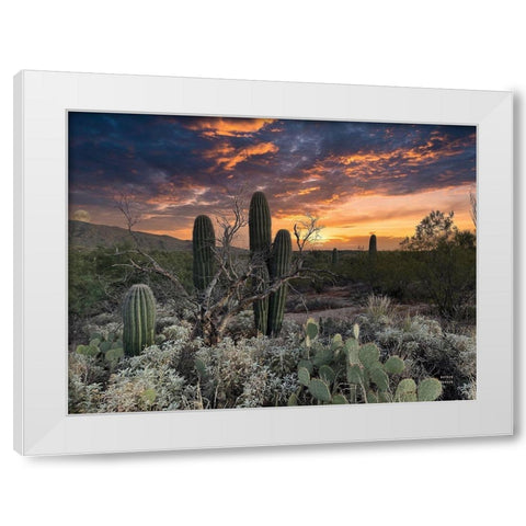 Sunset Moonrise White Modern Wood Framed Art Print by Larson, Nathan