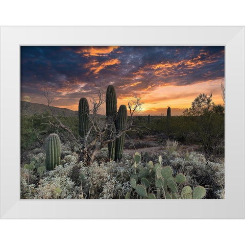 Sunset Moonrise White Modern Wood Framed Art Print by Larson, Nathan