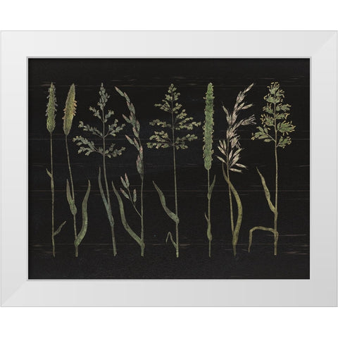 Herbal Botanical VII Black Wood No Words White Modern Wood Framed Art Print by Wild Apple Portfolio
