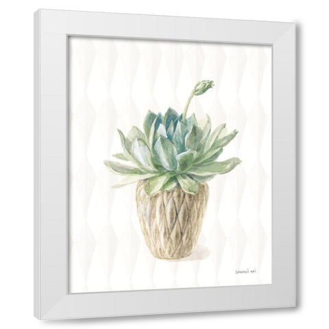 Desert Greenhouse XV White Modern Wood Framed Art Print by Nai, Danhui