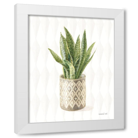 Desert Greenhouse XVI White Modern Wood Framed Art Print by Nai, Danhui