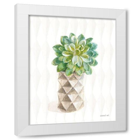 Desert Greenhouse XVIII White Modern Wood Framed Art Print by Nai, Danhui