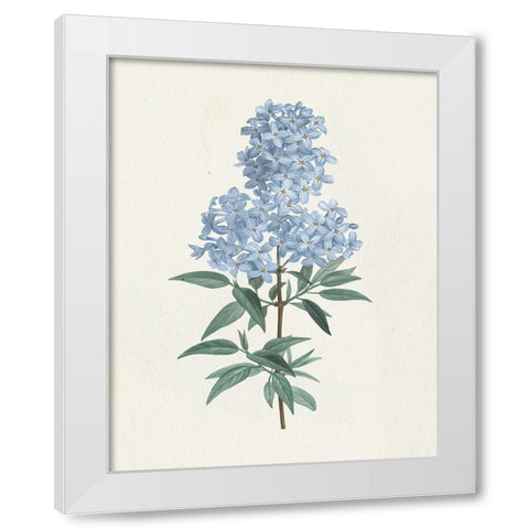 Victorian Garden Flowers III Blue White Modern Wood Framed Art Print by Wild Apple Portfolio