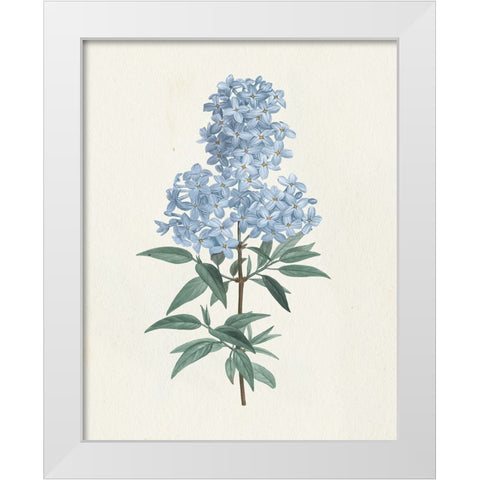 Victorian Garden Flowers III Blue White Modern Wood Framed Art Print by Wild Apple Portfolio