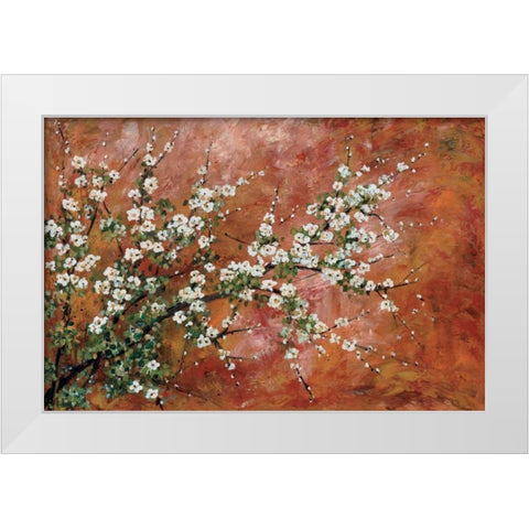 Wild Plum Blossoms White Modern Wood Framed Art Print by Alexander, Zachary
