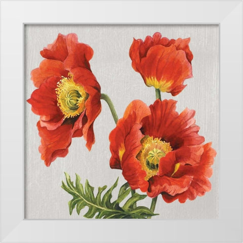 Poppies on Silk White Modern Wood Framed Art Print by Shelby, Judy