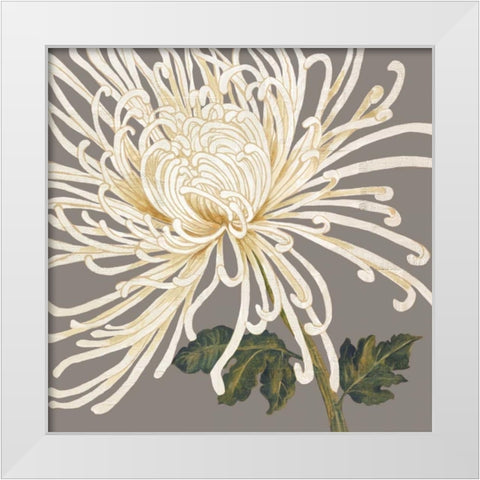 Glorious Whites II White Modern Wood Framed Art Print by Shelby, Judy