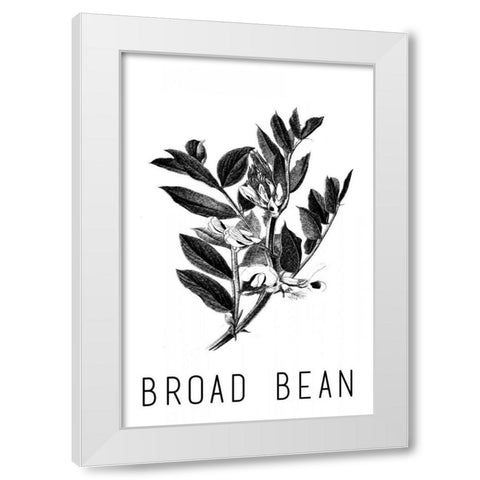Broad Bean White Modern Wood Framed Art Print by Waltz, Anne