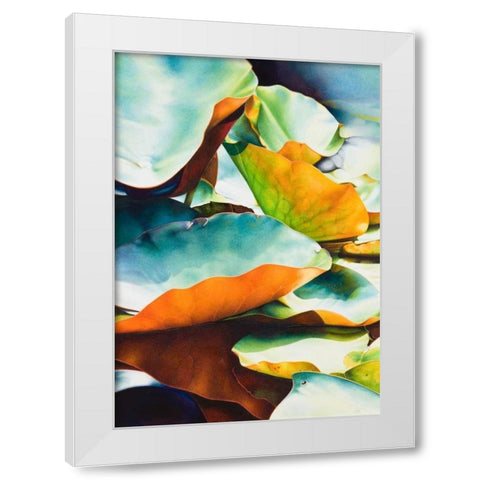 Nymphea 3 White Modern Wood Framed Art Print by Koch, Angelika