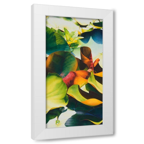 Nymphea 4 White Modern Wood Framed Art Print by Koch, Angelika