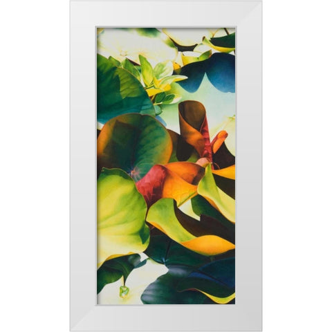 Nymphea 4 White Modern Wood Framed Art Print by Koch, Angelika