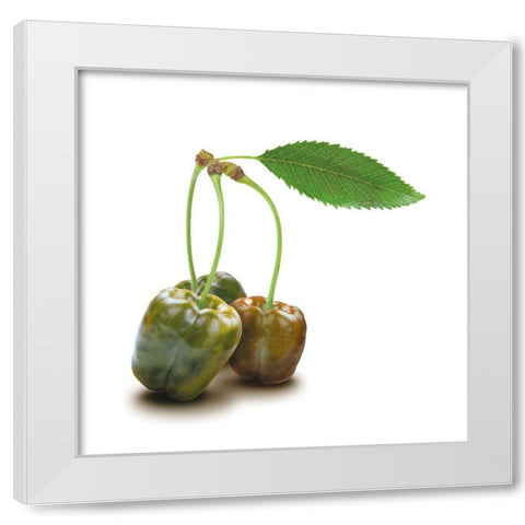 Papkische White Modern Wood Framed Art Print by Broszius, Michael