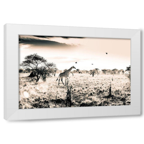 Giraffe White Modern Wood Framed Art Print by Seifinger, Toby