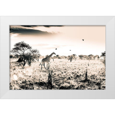 Giraffe White Modern Wood Framed Art Print by Seifinger, Toby