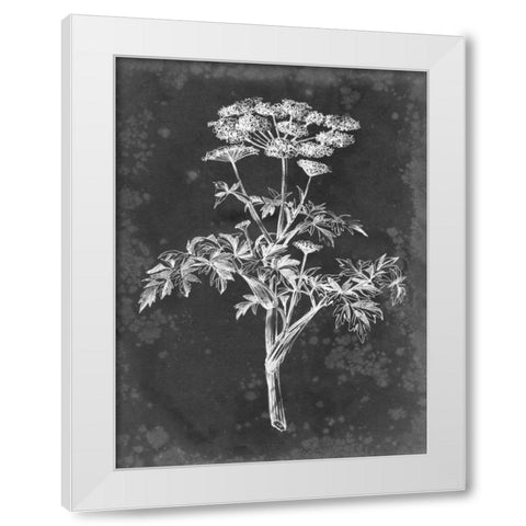 Slate Floral II White Modern Wood Framed Art Print by Harper, Ethan
