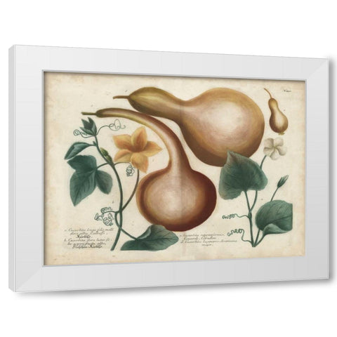 Exotic Weinmann Botanical I White Modern Wood Framed Art Print by Weinmann