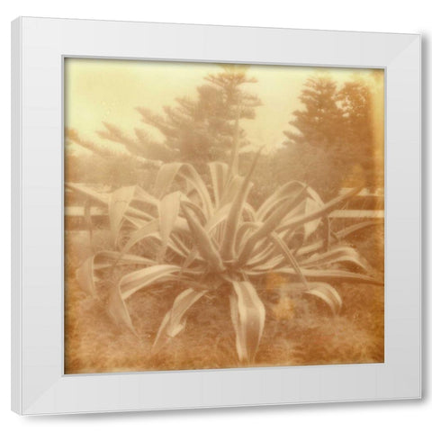 Halia Aloha II White Modern Wood Framed Art Print by Johnson, Jason