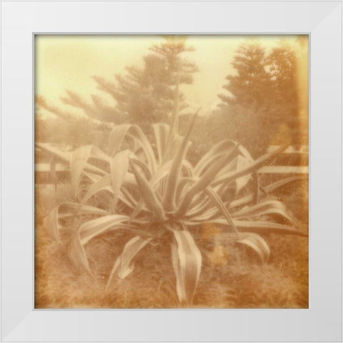 Halia Aloha II White Modern Wood Framed Art Print by Johnson, Jason