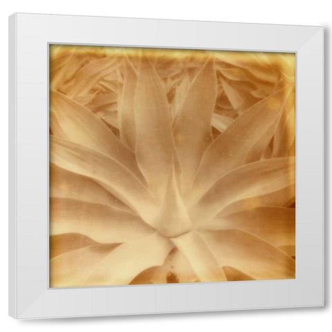 Halia Aloha III White Modern Wood Framed Art Print by Johnson, Jason