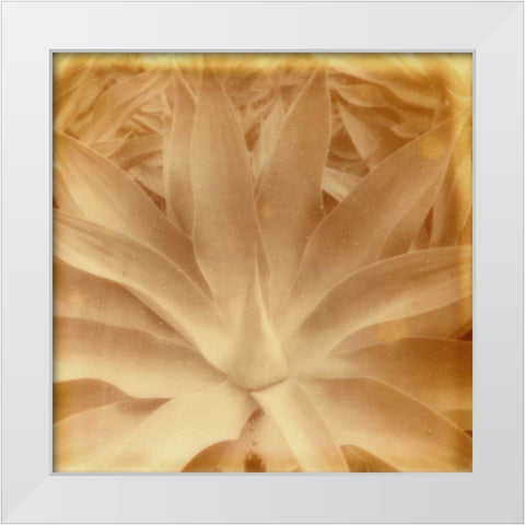 Halia Aloha III White Modern Wood Framed Art Print by Johnson, Jason