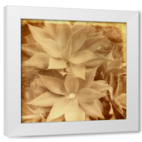 Halia Aloha IV White Modern Wood Framed Art Print by Johnson, Jason