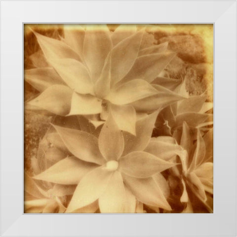 Halia Aloha IV White Modern Wood Framed Art Print by Johnson, Jason