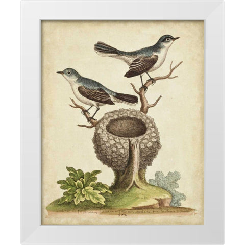 Natural Habitat II White Modern Wood Framed Art Print by Edwards, George