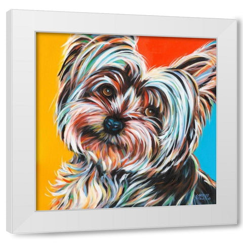 Sweet Yorkie II White Modern Wood Framed Art Print by Vitaletti, Carolee