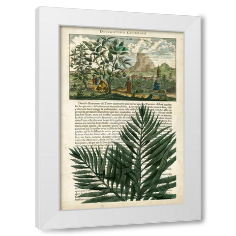 Journal of the Tropics II White Modern Wood Framed Art Print by Vision Studio