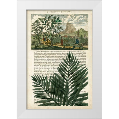 Journal of the Tropics II White Modern Wood Framed Art Print by Vision Studio