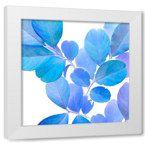 Xray Leaves I White Modern Wood Framed Art Print by Vision Studio