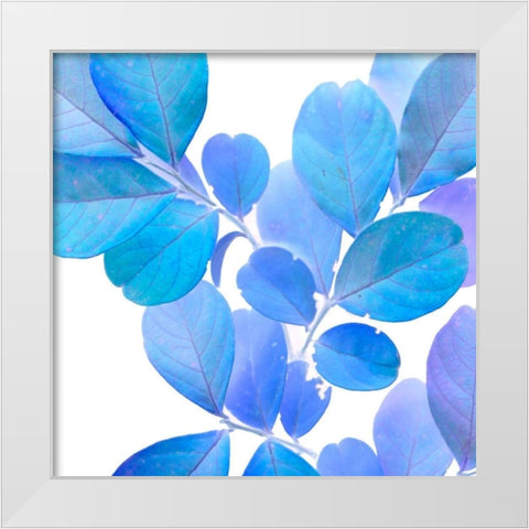 Xray Leaves I White Modern Wood Framed Art Print by Vision Studio