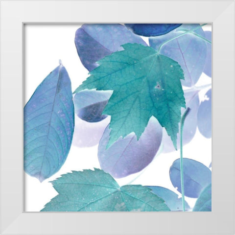 Xray Leaves III White Modern Wood Framed Art Print by Vision Studio