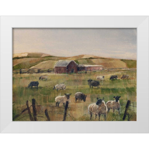 Grazing Sheep II White Modern Wood Framed Art Print by Harper, Ethan