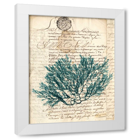 Vintage Teal Seaweed I White Modern Wood Framed Art Print by Vision Studio