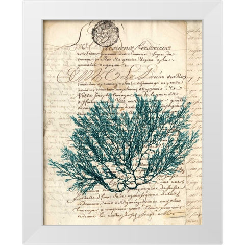 Vintage Teal Seaweed I White Modern Wood Framed Art Print by Vision Studio