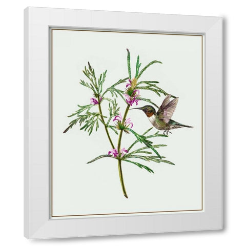 Leonurus Japonicus I White Modern Wood Framed Art Print by Wang, Melissa