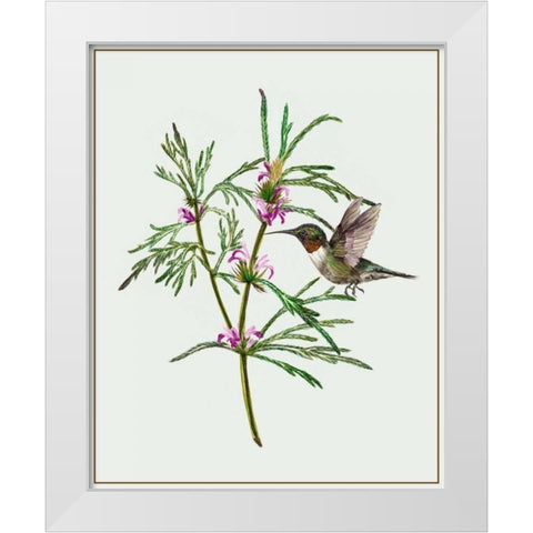 Leonurus Japonicus I White Modern Wood Framed Art Print by Wang, Melissa