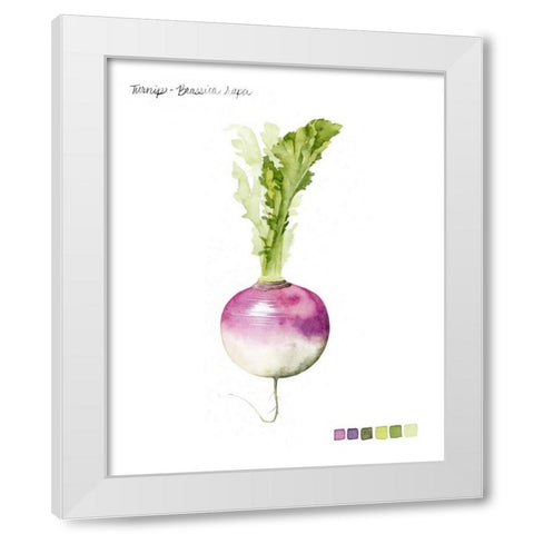 Root Vegetable VI White Modern Wood Framed Art Print by Popp, Grace