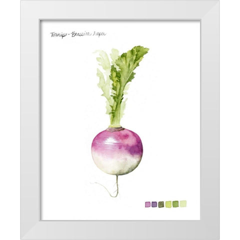 Root Vegetable VI White Modern Wood Framed Art Print by Popp, Grace