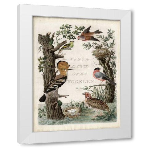 Woodpecker Sanctuary White Modern Wood Framed Art Print by Nozeman