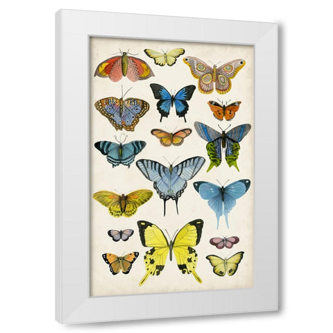 Butterfly Taxonomy II White Modern Wood Framed Art Print by McCavitt, Naomi