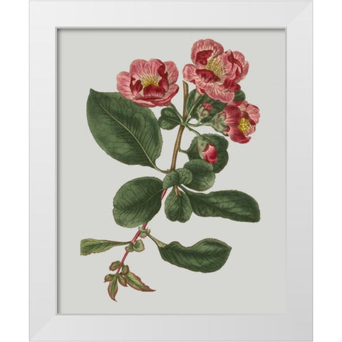 Floral Gems I White Modern Wood Framed Art Print by Vision Studio