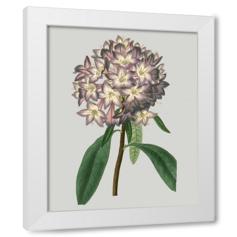 Floral Gems V White Modern Wood Framed Art Print by Vision Studio