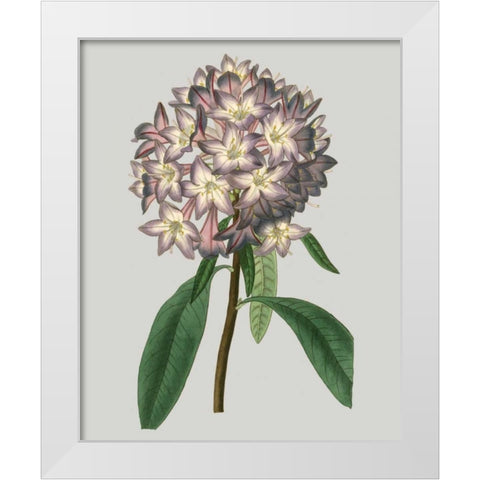 Floral Gems V White Modern Wood Framed Art Print by Vision Studio
