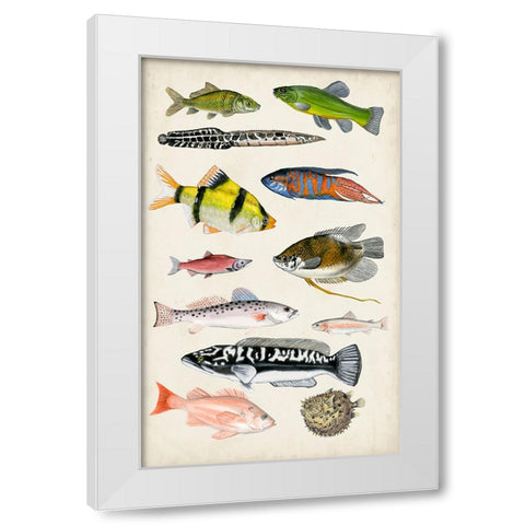 Antique Aquarium I White Modern Wood Framed Art Print by McCavitt, Naomi